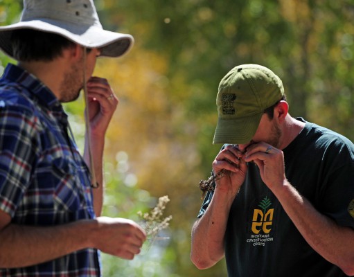 Guided beer hikes