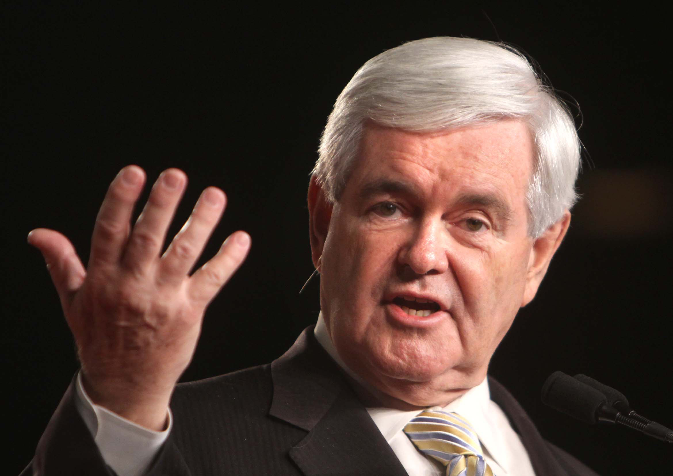 Gingrich: Child labor laws &lsquo;truly stupid&rsquo;