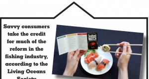 Fishing for sustainable seafood