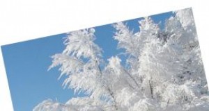 Tidbites | Greenbriar hosts ‘Open Cellar Night’