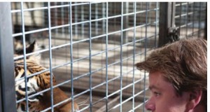 Damon’s above the corn