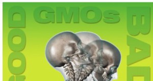 in case you missed it | Camera whiplash