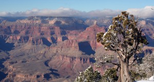 Salazar bans new uranium mining claims near Grand Canyon