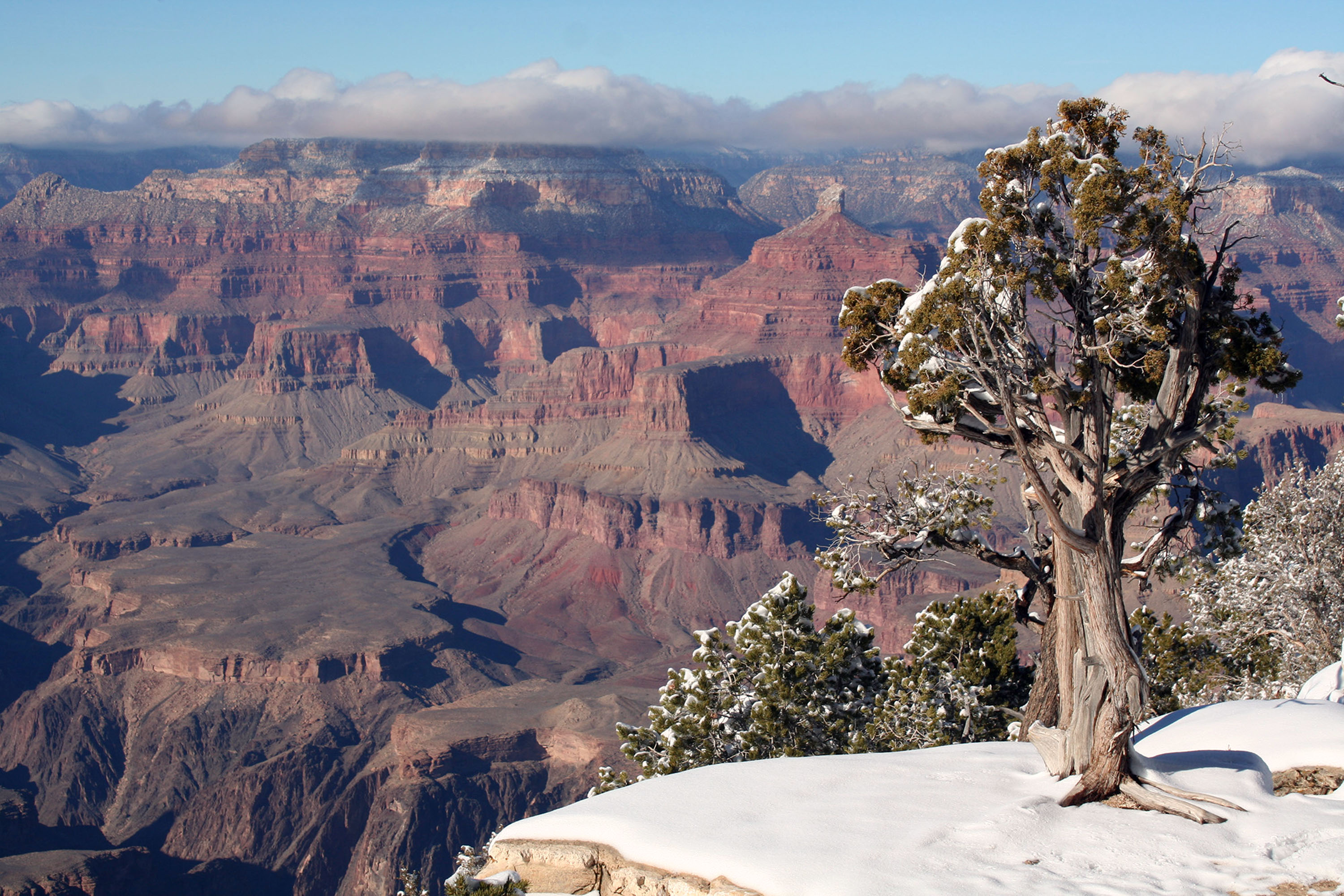 Salazar bans new uranium mining claims near Grand Canyon