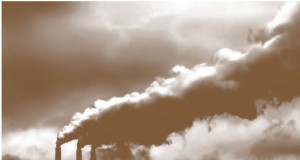 No environmental regulations in this House