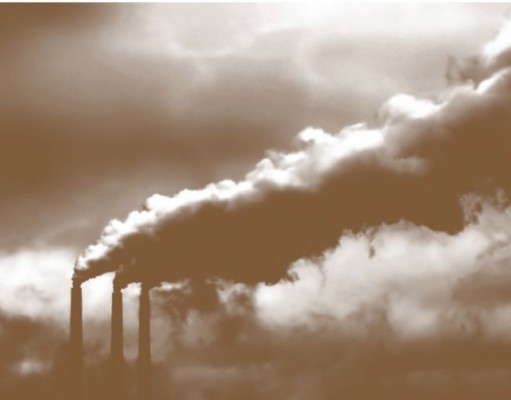No environmental regulations in this House