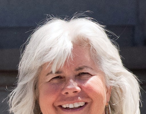 New commissioner: Gain consensus on GMOs