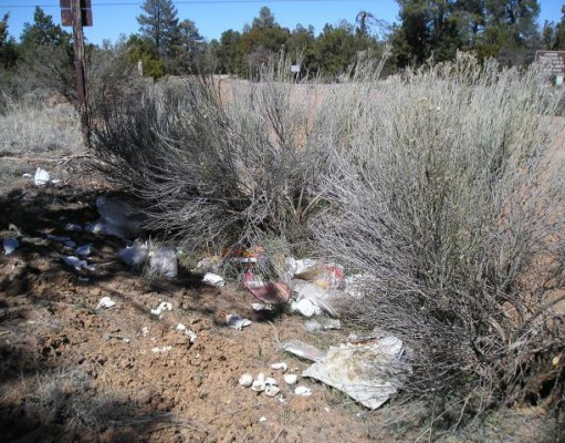 Shooters should clean up their act