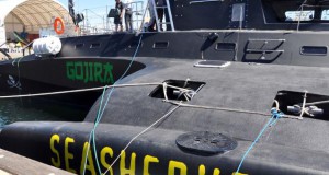 Japanese Whalers Lose Bid To Block U.S.-Based ‘Sea Shepherd’ Activists