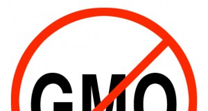 GMO-labeling game plan: California or bust!