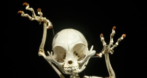 Reality is the New Fiction