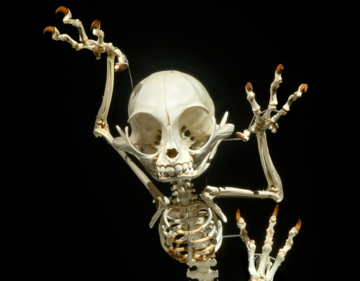 Reality is the New Fiction