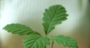 America’s Conservation Compact Is Eroding Despite Farmers’ Support