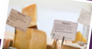 Tidbites | Cheese please