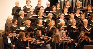 New director, new direction