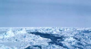 Shrinking Arctic Sea Ice Linked to Snowier Winters?