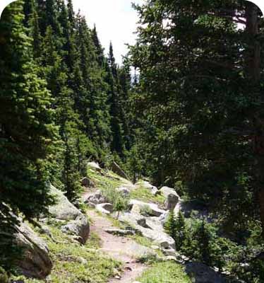 US Mountain Bike Trail Stats: The West and States with Mountains Rule