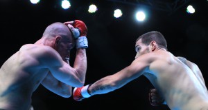 Mixing up martial arts