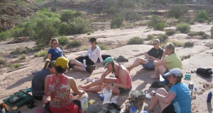 Wilder paths to rejoining civilian life