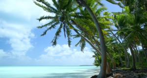 Climate Change Is Forcing Entire Countries to Migrate