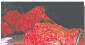 In case you missed it | HOW’S THAT PIE?