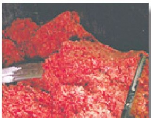 In case you missed it | HOW’S THAT PIE?