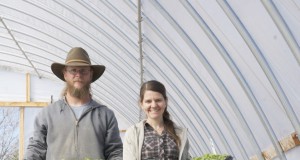 Act legalizes cottage chefs