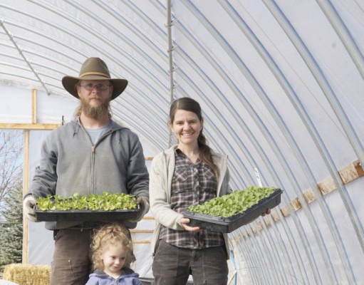 Act legalizes cottage chefs