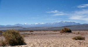 90 Degrees in Winter: This Is What Climate Change Looks Like