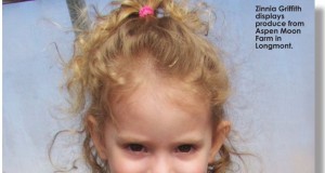 Food, and food for thought