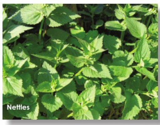 Stop sniffling and sneezing