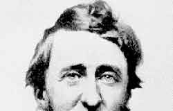 Scientists use Thoreau’s journal notes to track climate change