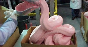 Campaigning for ‘pink slime’
