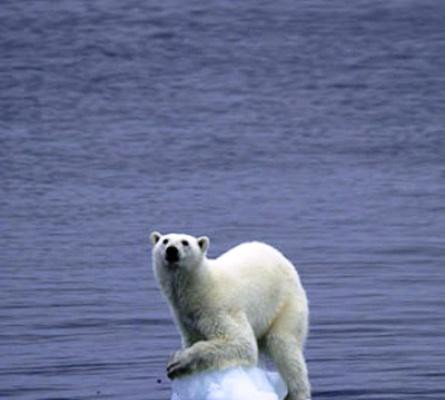Chump change: Stopping global warming is much cheaper than you think