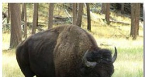 In case you missed it | A matter of perspective