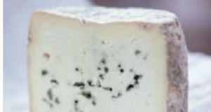 Tidbites | Slow down