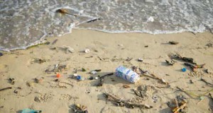 Groups Call on European Countries to Cut Marine Litter by Half