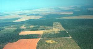 Traditional Slash and Burn Agriculture Sustainable Solution to Climate Change