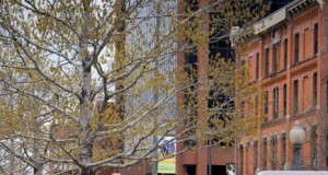 Share and share a bike: A fresh way to find a rental cycle