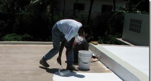 Paint Your Roof White for Earth Day