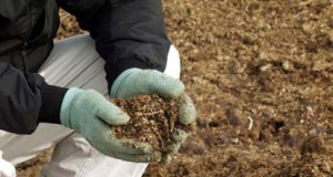 Poop dreams: A farmer on why we should care about manure