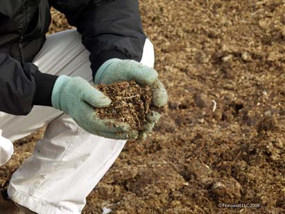 Poop dreams: A farmer on why we should care about manure