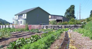 How Making Food Safe Can Harm Wildlife And Water