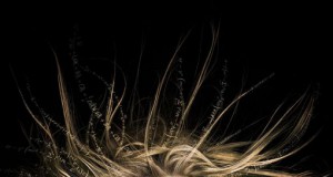 ‘Fringe’ renewed for final season