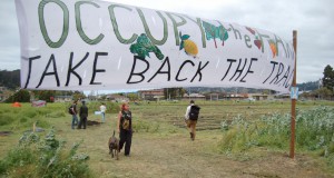By growing food, Occupy the Farm helps a movement grow up