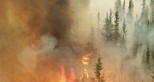 Billions Inhale Acid From Fires