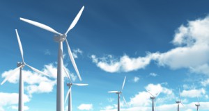 Think globally, and fry locally