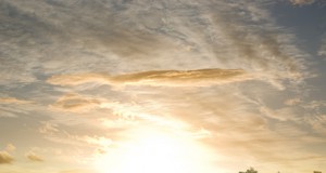 Will this Farm Bill do enough for young farmers?