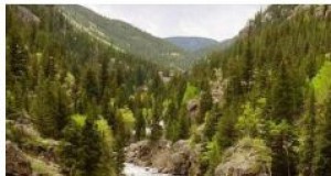 Hang in there snowfly