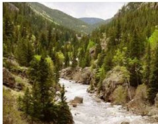 Hang in there snowfly